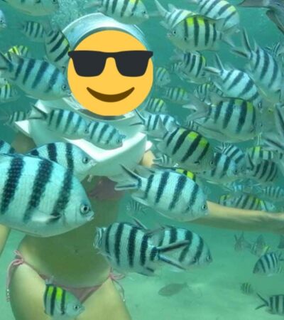 Harga Termurah!! Untuk Bali Seawalker Tanjung Benoa