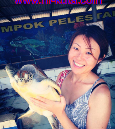 Pulau Penyu Tanjung Benoa, Tiket Charter Private Glass Bottom Boat Telah Tersedia
