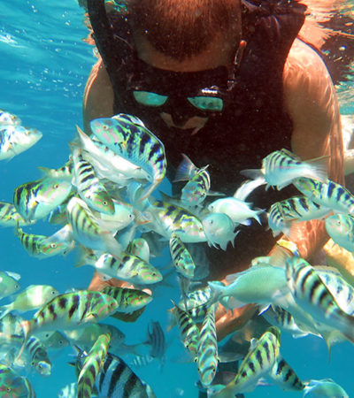 Petualangan Wisata Bahari Snorkeling Tanjung Benoa Bali