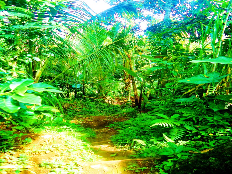 Berwisata ke Pande’s Farm, Belajar Berkebun Sambil Nikmati Alam Berwisata ke Pande’s Farm, Belajar Berkebun Sambil Nikmati Alam