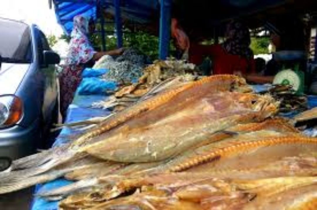 Menjelajah Kuliner Khas Buleleng: Jukut Undis dan Sudang Lepet Menjelajah Kuliner Khas Buleleng: Jukut Undis dan Sudang Lepet