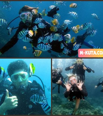 Diving Pemula : Lokasi yang Cocok Berada di Kawasan Bali Selatan ( Tanjung Benoa )