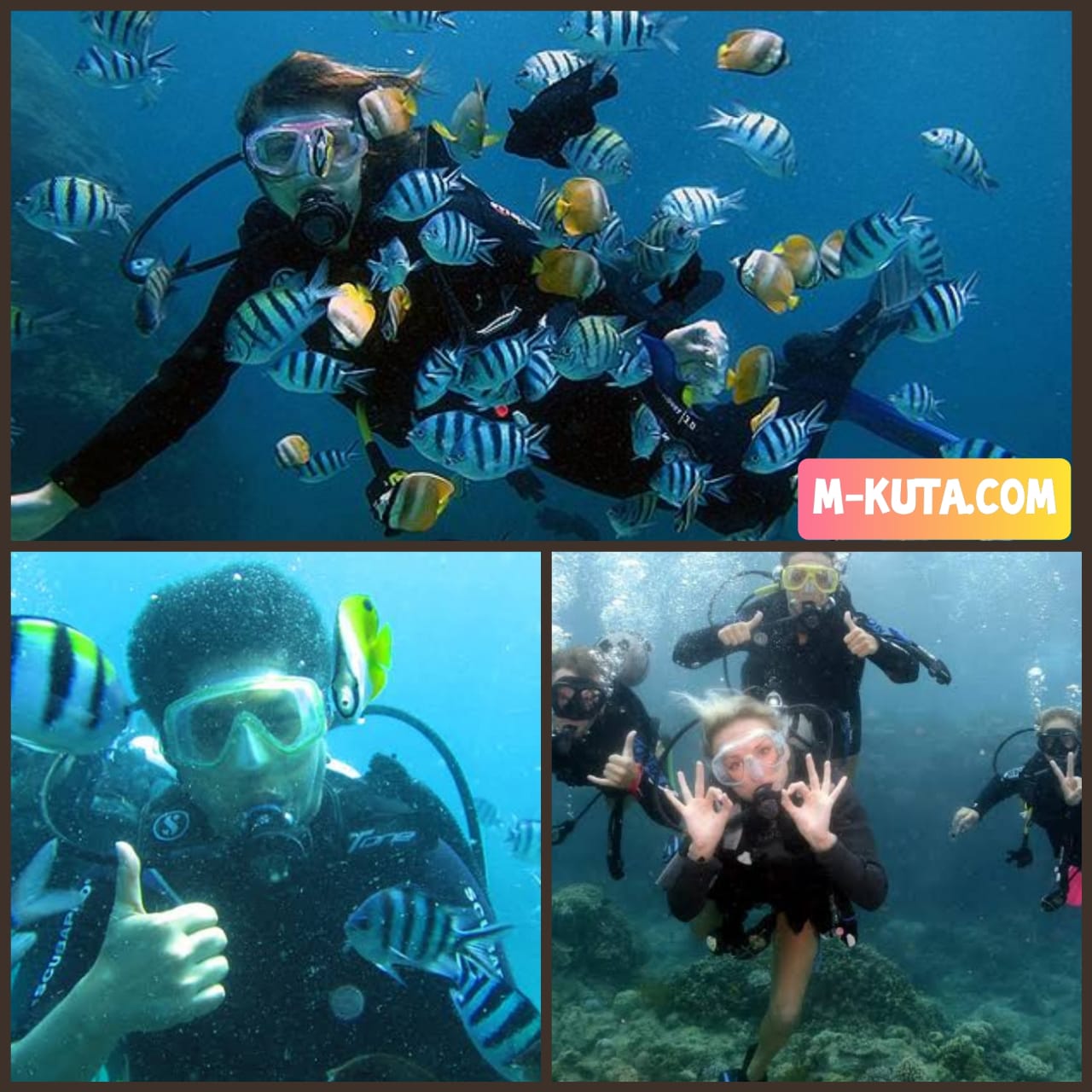 Scuba Diving Bali: Panduan Komprehensif untuk Pemula dan Pengalaman Menyelam yang Mengasyikkan Scuba Diving Bali: Panduan Komprehensif untuk Pemula dan Pengalaman Menyelam yang Mengasyikkan
