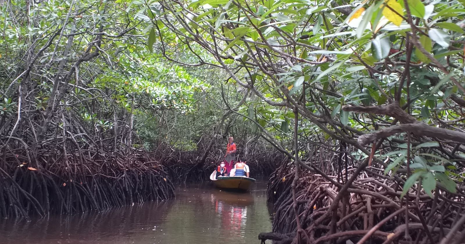 Nikmati Sensasi Seru Menjelajahi Hutan Mangrove Nusa Lembongan yang Menawan Nikmati Sensasi Seru Menjelajahi Hutan Mangrove Nusa Lembongan yang Menawan