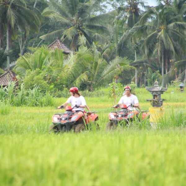 ATV Ubud bersama Dadi Bali Adventures - Gambar 3